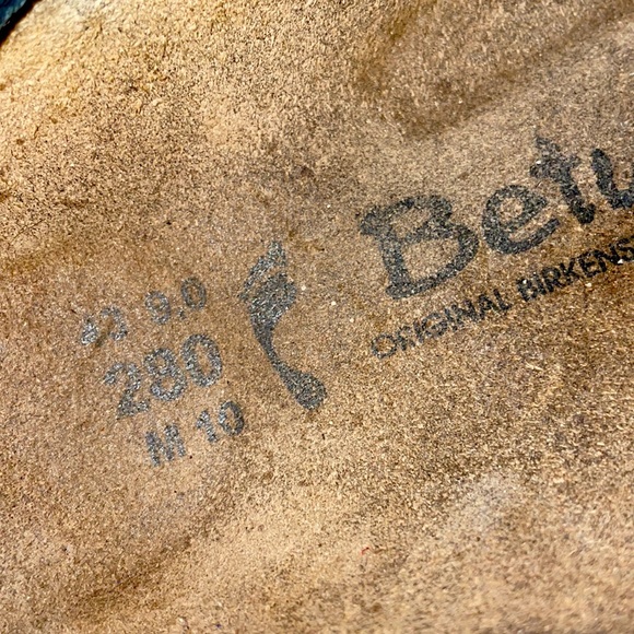 Betula - Picture 6 of 6